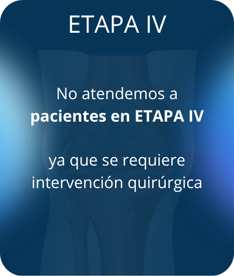 Cartilago etapa 3